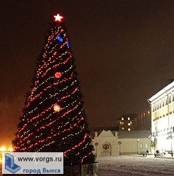 В Выксе зажгли Главную Елку