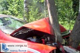«Рено» вылетел в кювет и врезался в дерево