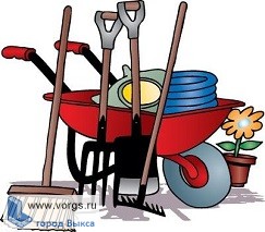 В Выксе активисты провели субботник