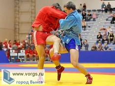 Выксунские самбисты на соревнованиях завоевали золото и бронзу