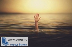 В Выксе следователи провели проверку по факту гибели ребенка в водоеме